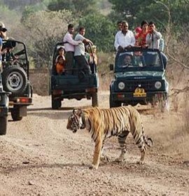 Rajasthan Family Holiday